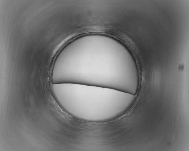 X0000114021212200910021008