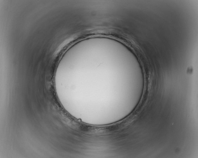 X0000114021213200910021008