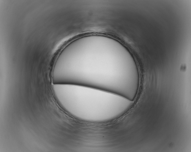 X0000114021214200910021008
