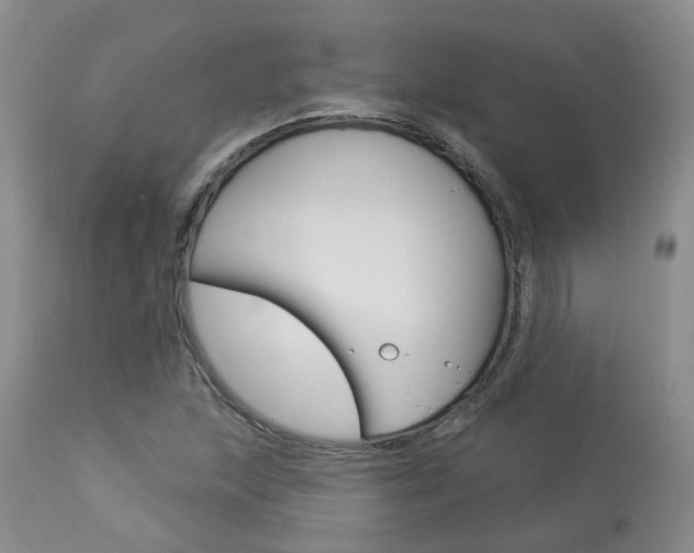 X0000114021215200910021008