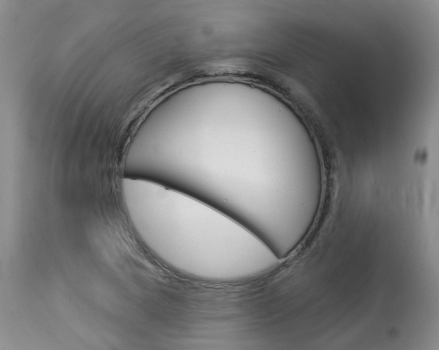 X0000114021217200910021009