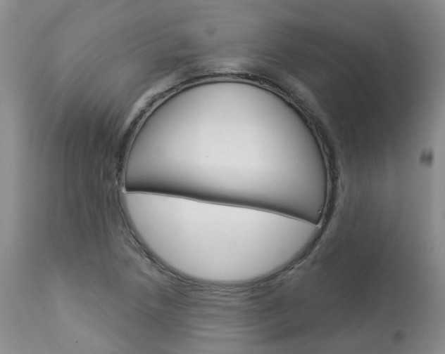 X0000114021218200910021009