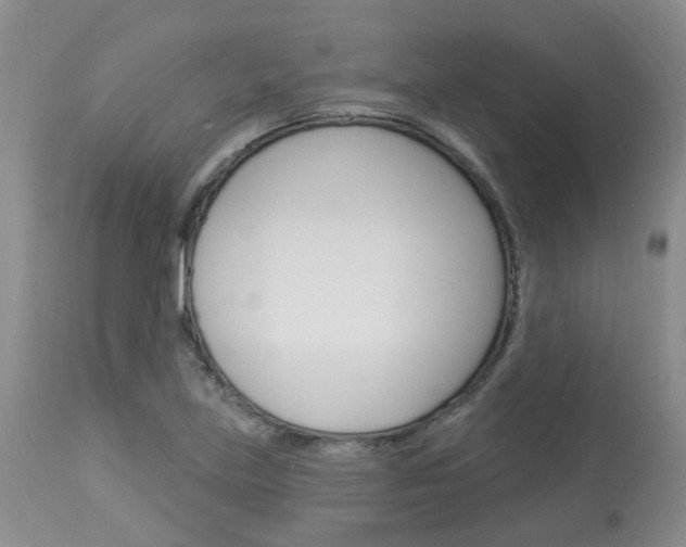 X0000114021219200910021009