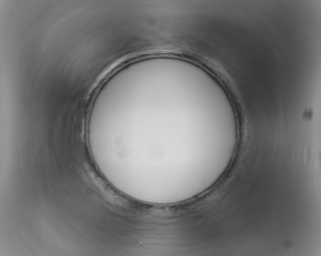 X0000114021220200910021009