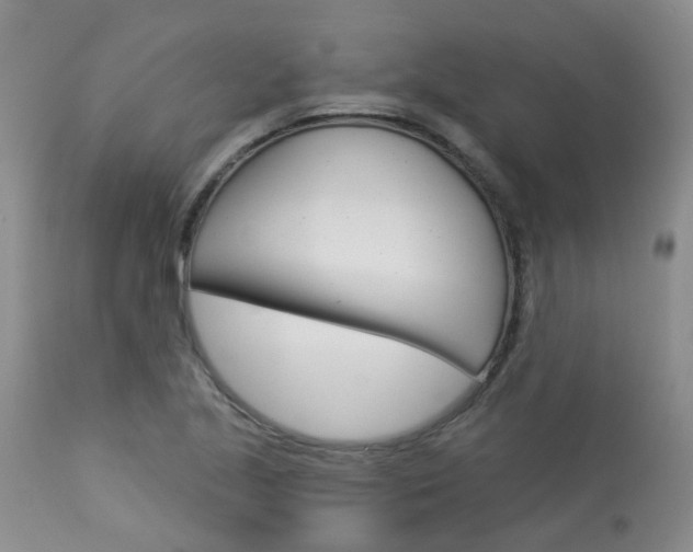 X0000114021221200910021009