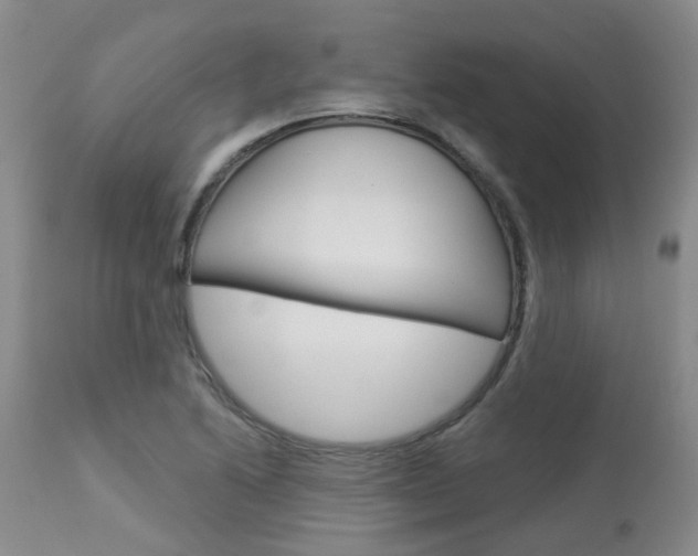 X0000114021222200910021009
