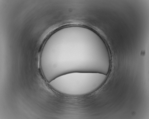 X0000114021223200910021009
