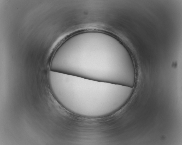 X0000114021224200910021009