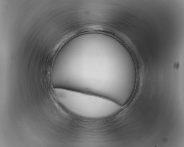 X0000114021225200910021009