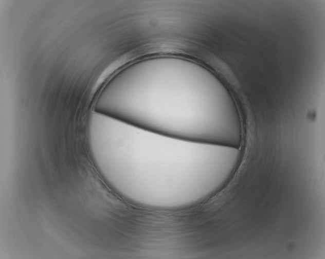 X0000114021226200910021009