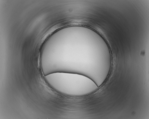 X0000114021227200910021009