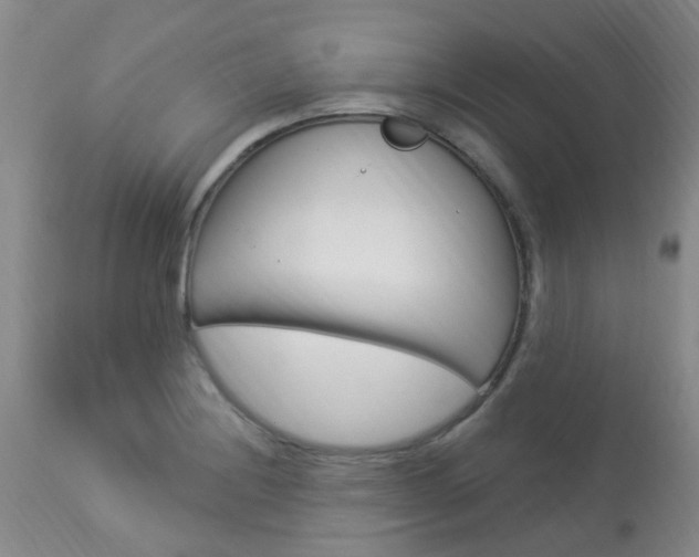 X0000114021228200910021009