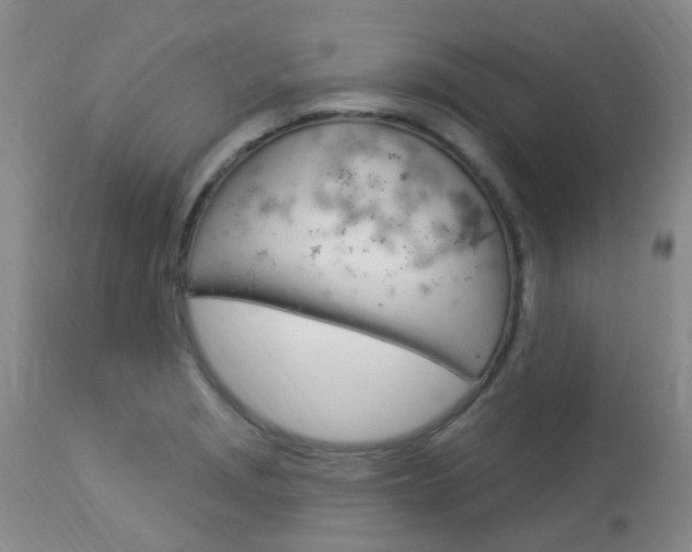 X0000114021229200910021009