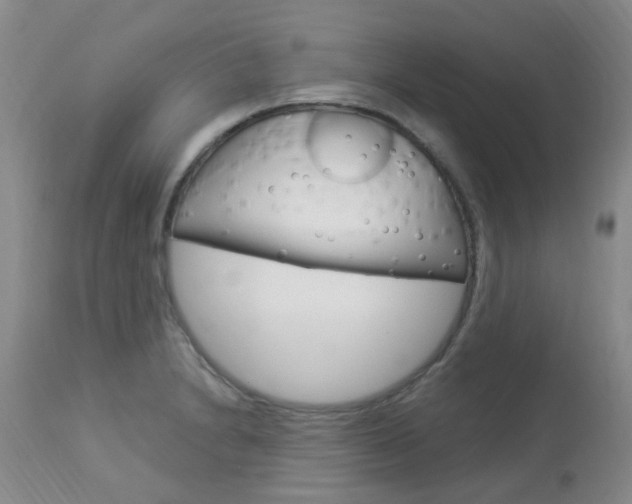 X0000114021230200910021009