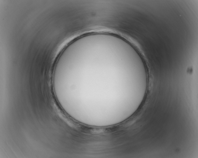X0000114021231200910021009