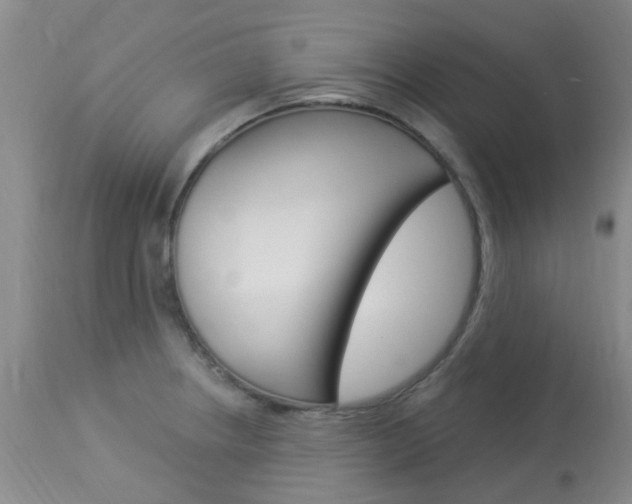 X0000114021234200910021009