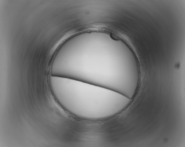 X0000114021235200910021009