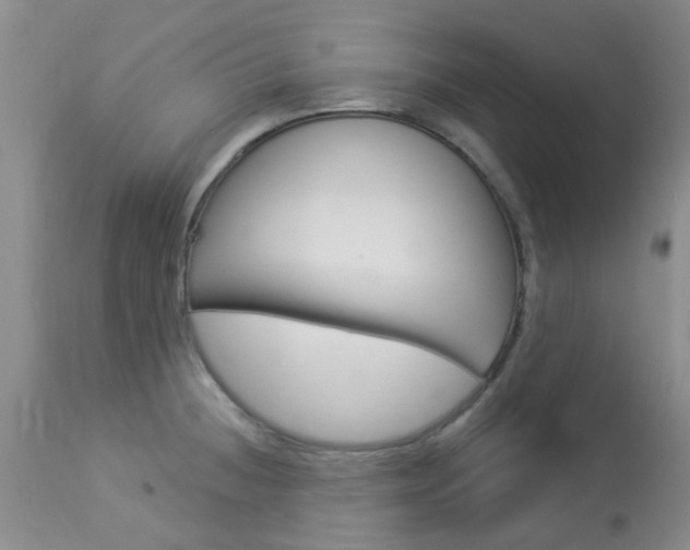 X0000114021236200910021009