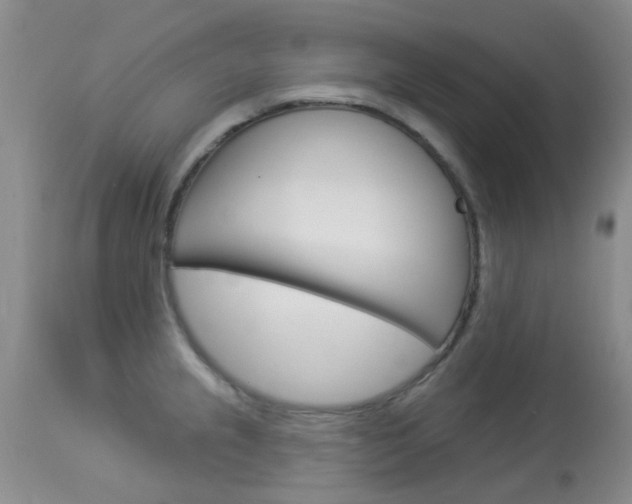 X0000114021237200910021009