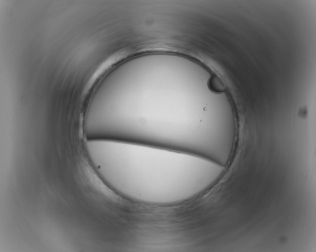 X0000114021238200910021009
