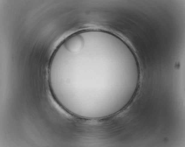 X0000114021239200910021009