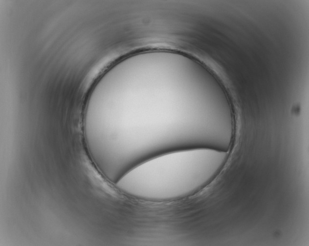 X0000114021240200910021009