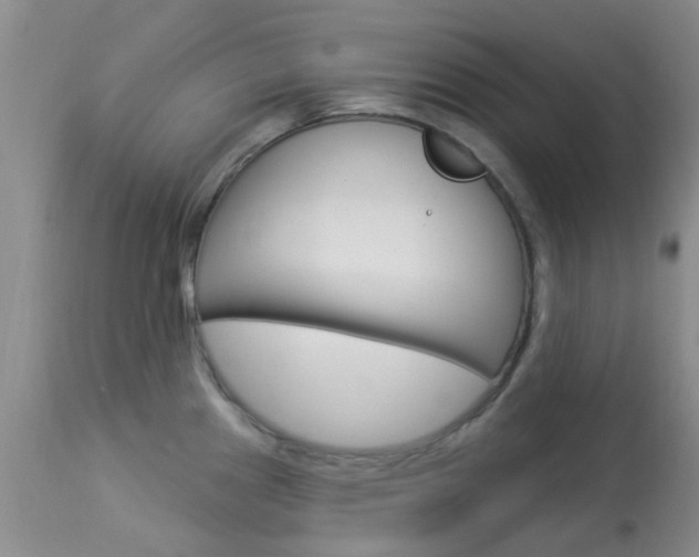 X0000114021241200910021009