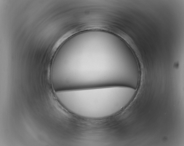 X0000114021242200910021009
