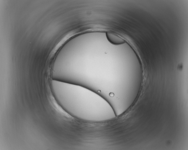 X0000114021243200910021009