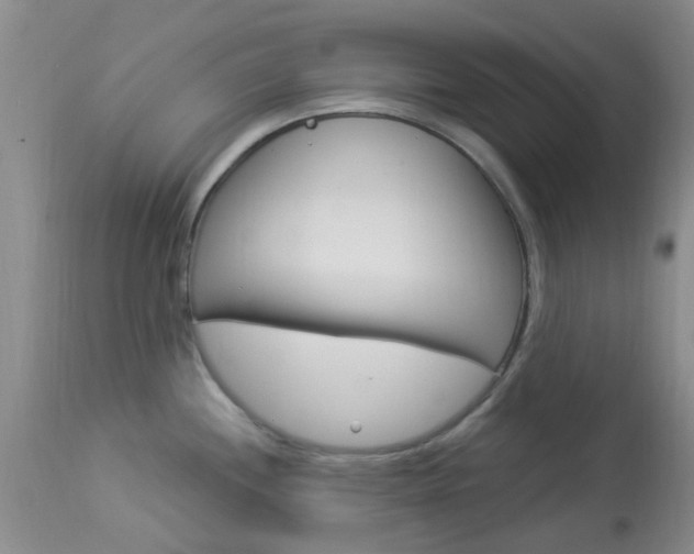 X0000114021244200910021009