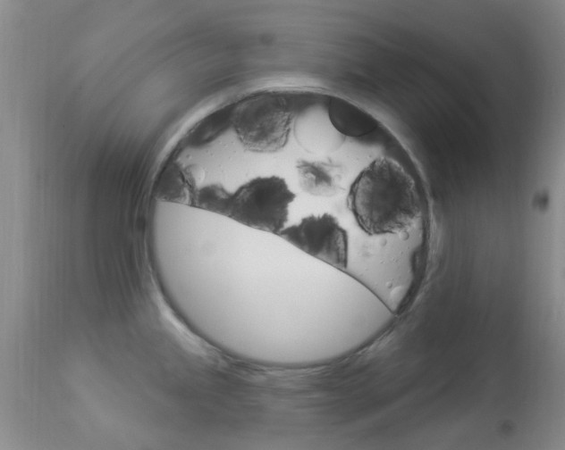 X0000114021245200910021009