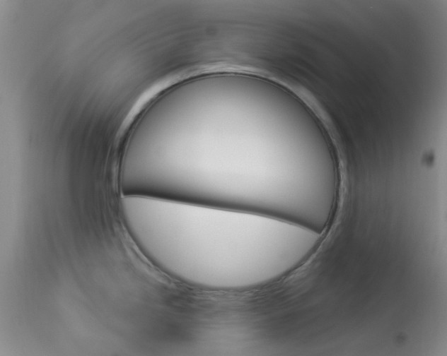 X0000114021246200910021009
