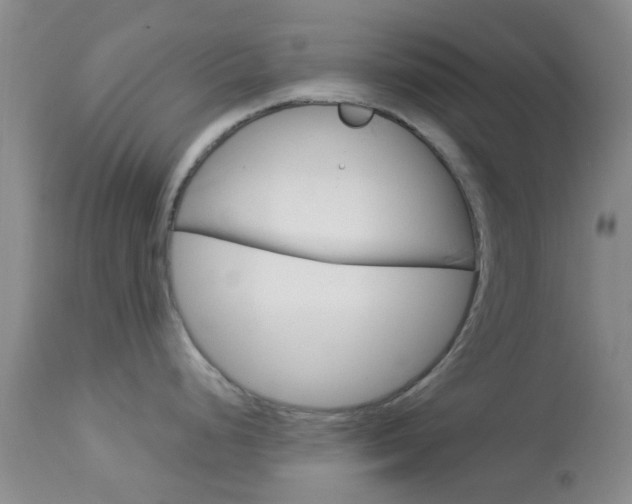 X0000114021248200910021009