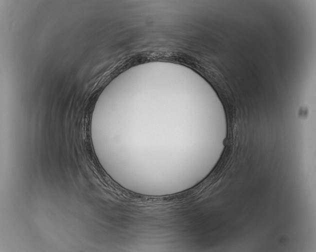X0000114021250200910021008