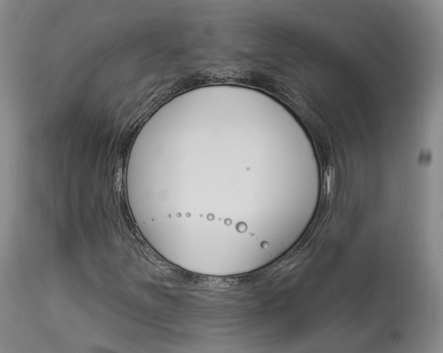 X0000114021251200910021008