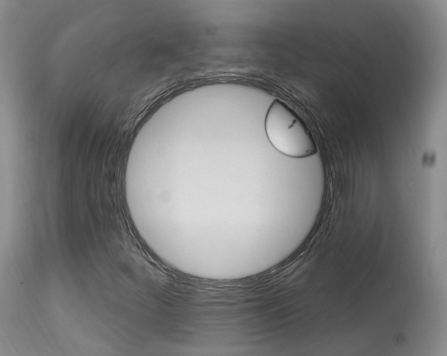 X0000114021252200910021008