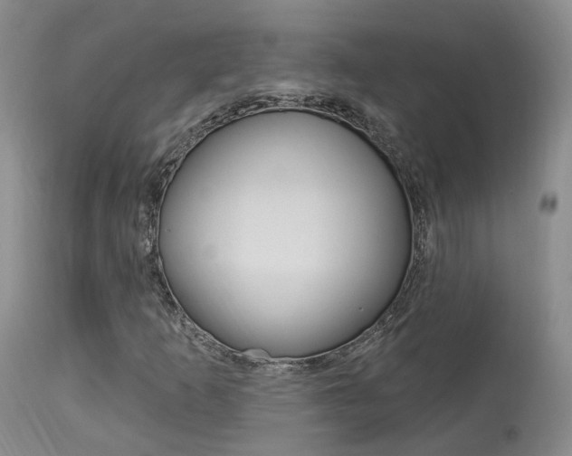 X0000114021253200910021008