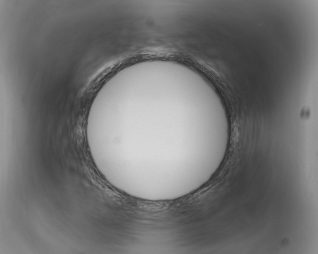 X0000114021254200910021008