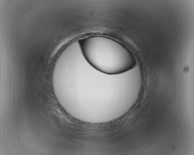 X0000114021256200910021008