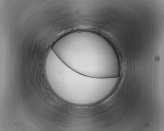 X0000114021257200910021008