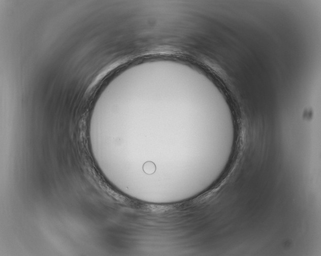 X0000114021258200910021008
