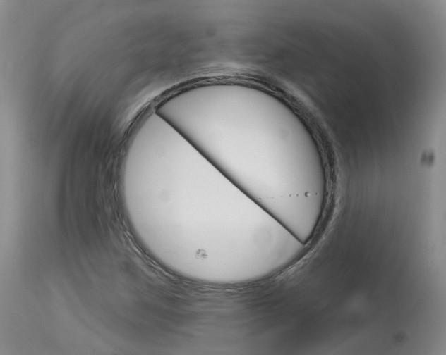 X0000114021259200910021008