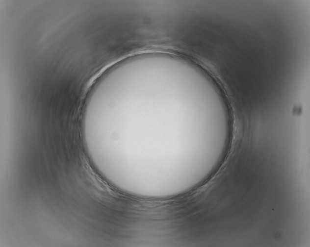 X0000114021260200910021008