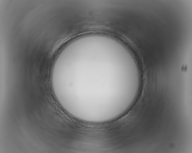 X0000114021261200910021008
