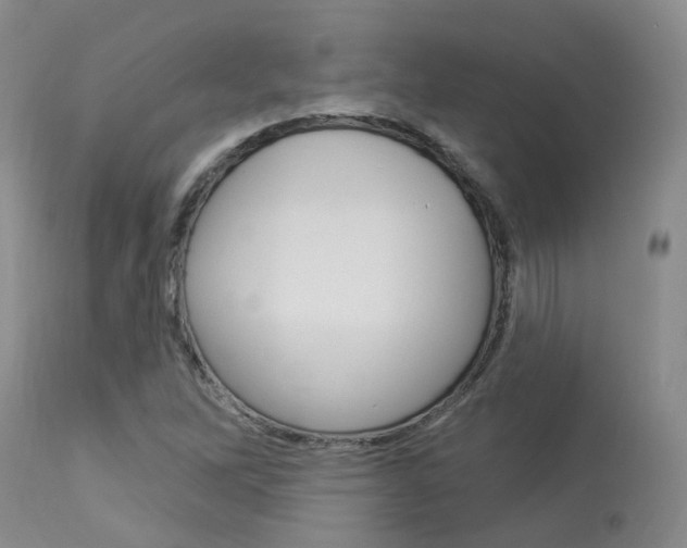 X0000114021262200910021008