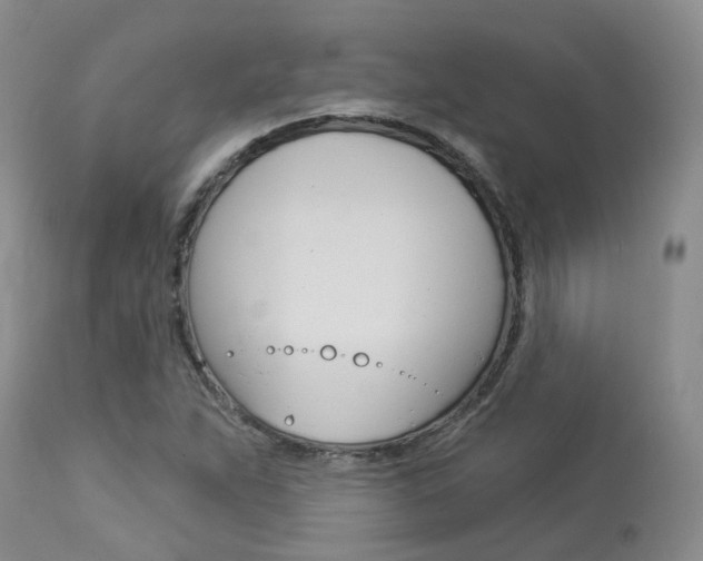 X0000114021263200910021008