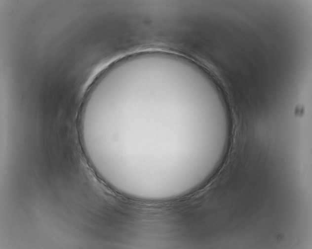 X0000114021264200910021008