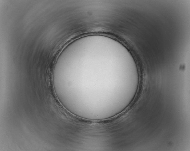 X0000114021265200910021008