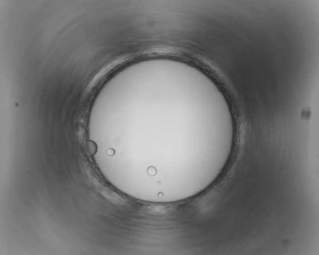 X0000114021266200910021008
