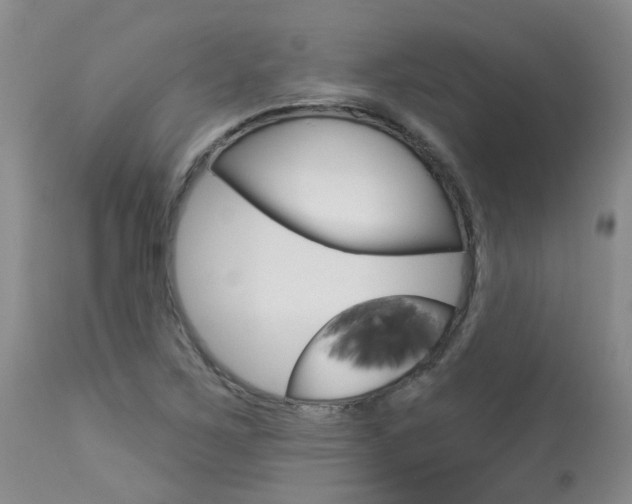 X0000114021267200910021008